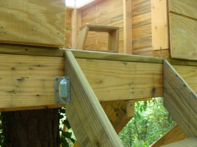 Ladder attached to tree house