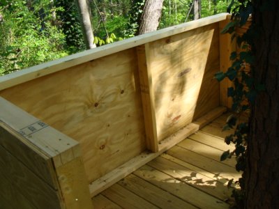 Inside tree house