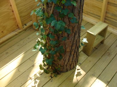 Tree coming through the house