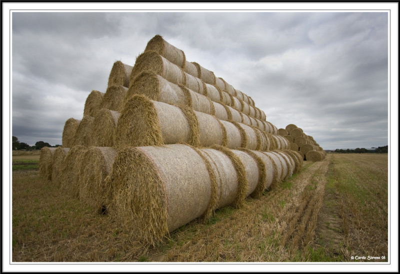 Pyramid bales!