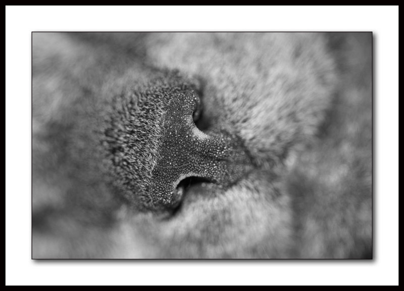 1st 40D pik!