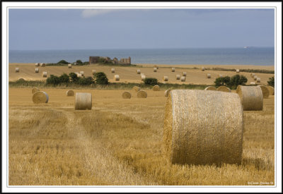 Haybales on the cliff edge!
