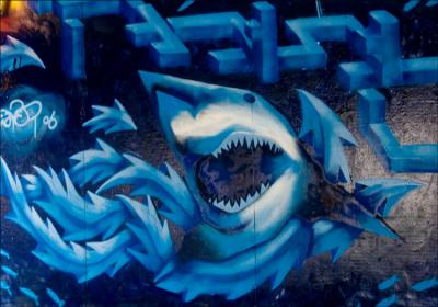 g3/43/644443/3/56762950.Sharkattack.jpg
