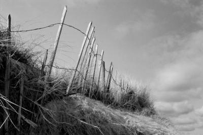 Beach fences.