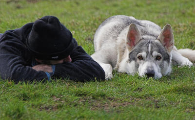 Exhausted after wolf watching!