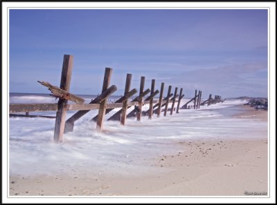 Skeleton coast!