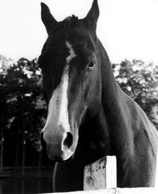 Derby