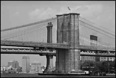 Brooklyn and Manhattan Bridges.jpg