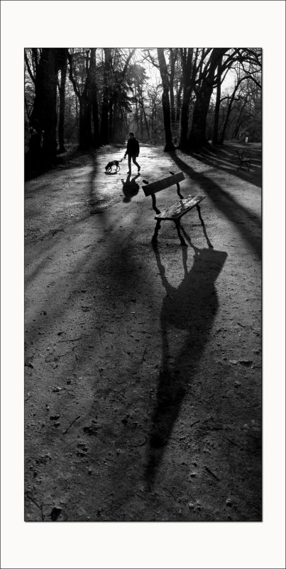 Les shadows de Vincennes