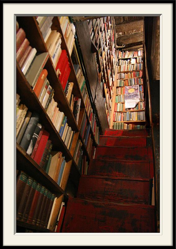 Librairie (1)