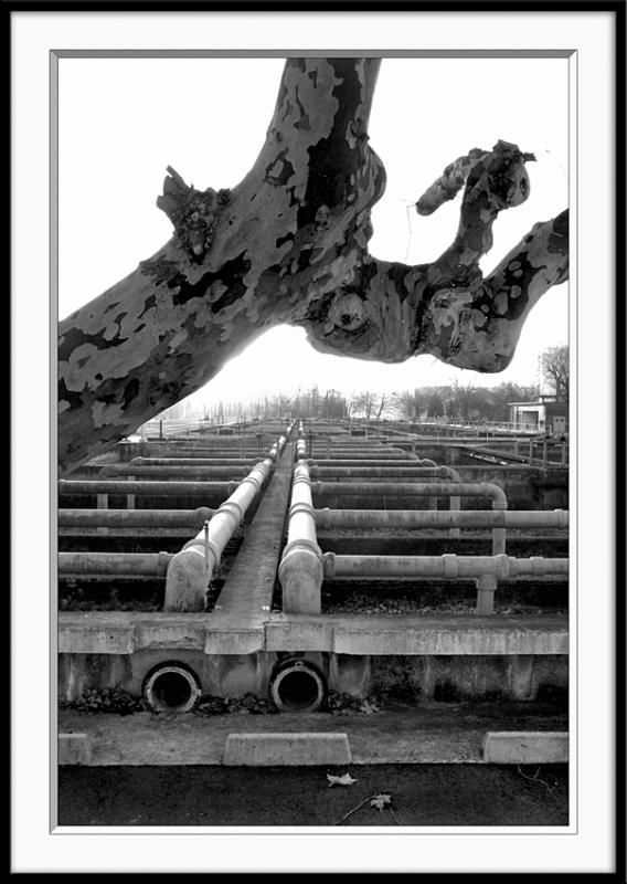 JoinvilleL'oiseau de l'usine des eaux