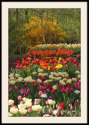 g3/43/70143/3/58935752.parcfloral_0010reccad.jpg