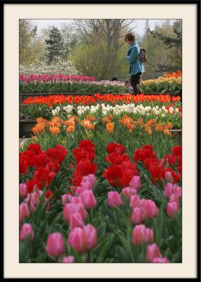 g3/43/70143/3/58935756.parcfloral_0005dambleue.jpg