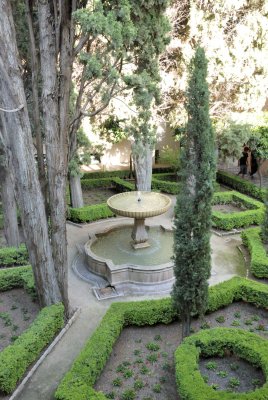 DSC_7517.jpg