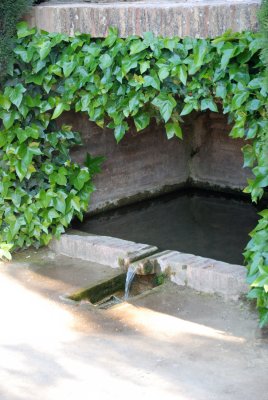 DSC_7544.jpg