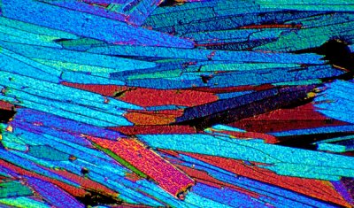 Photomicrograph of biotite schist in thin section X10