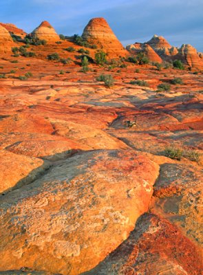 Lichen encrusted rocks, North Coyote Buttes, AZ