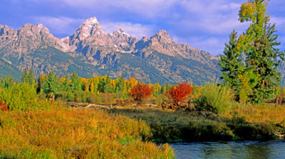 (CR8) Otter Tail Meadow, Tetons, WY