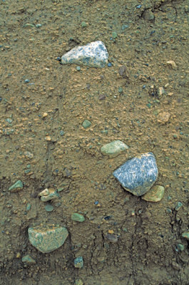 (CG9) Glacial till, boulders with striations, NY