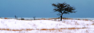 (MW10) Lake Michigan Shoreline, IL