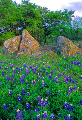 (TW10) Enchanted Rock Sate Park, TX