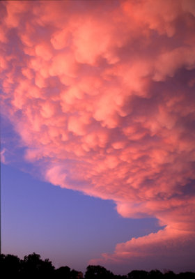 Mammatus clouds under the anvil of a cumulonimbus cloud, Lake County, IL