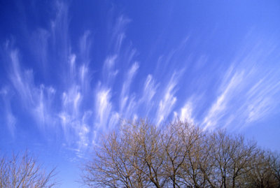 (METE56) Cirrus uncinus (mares tails), Lake County, IL