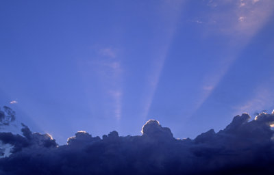 Crepuscular rays emminate from behind cumulus congestus, Yavapai County, AZ