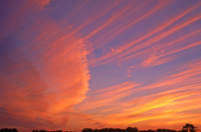 (METE11) Cirrus and cirrus nebulosa, Lake County, IL