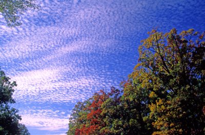 (METE14) Altocumulus, mackerel sky, Lake County, IL