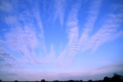 (METE15) Atocumulus  undulatus radiatus,  Lake County, IL