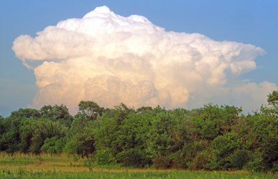 (METE20) Cumulonimbus calvus, Lake County, IL