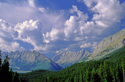 (METE21) Cumulus congestus, Queen Elizabeth Range, Jasper National Park, Alberta, Canada