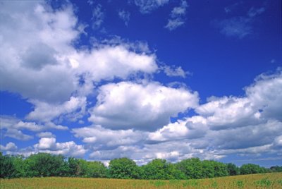 (METE23) Cumulus humilis, Lake County, IL