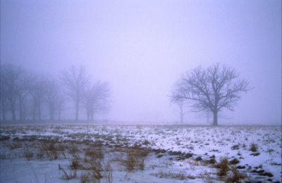 (METE38) Continental advection fog, Lake County, IL