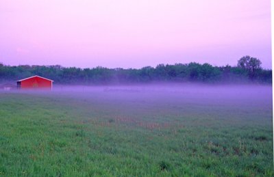 (METE40) Radiation fog , Jo Davies County, IL
