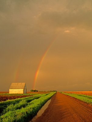 (METE45) Double rainbow near Fairfield, MN