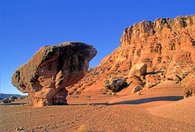 (AR28) Pedestal rock, Lee's Ferry, AZ