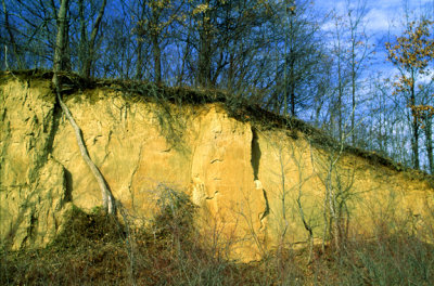 (CG37) Loess deposits near Glen Carbon, IL