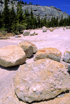 (WES2) Differential weathering of granite results in relief of K-feldspar in granite, Yosemite National Park, CA