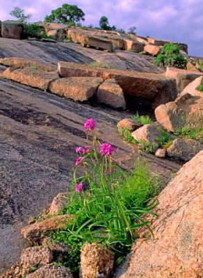 (WES10) Exfoliation slabs, Enchanted Rock State Park, TX