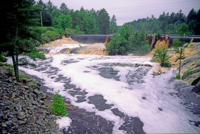 (ENV21) Foam from paper mill effluent, Pike River, Tower, MN  (Brown is from natural tannins in the water.)