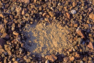 (AR29) Desert pavement is only one pebble thick, Kofa National Wildlife Refuge, AZ