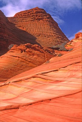 (PP 22) Paw Hole cross-bedding, South Coyote Buttes, AZ