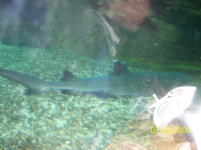 100_6030.jpg