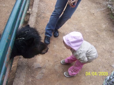 100_6138.jpg