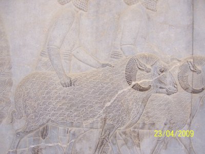 g3/43/817643/3/115174438.MwOUVNs7.jpg