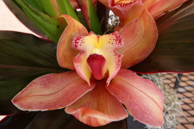 grandma_mills_pantier_deatsman_flowers