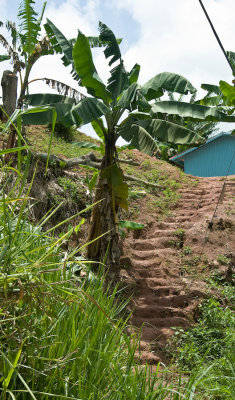 Simplicity -Aenon District,Jamaica, WI