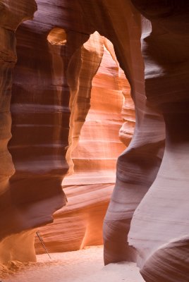 _DSC0919.jpg